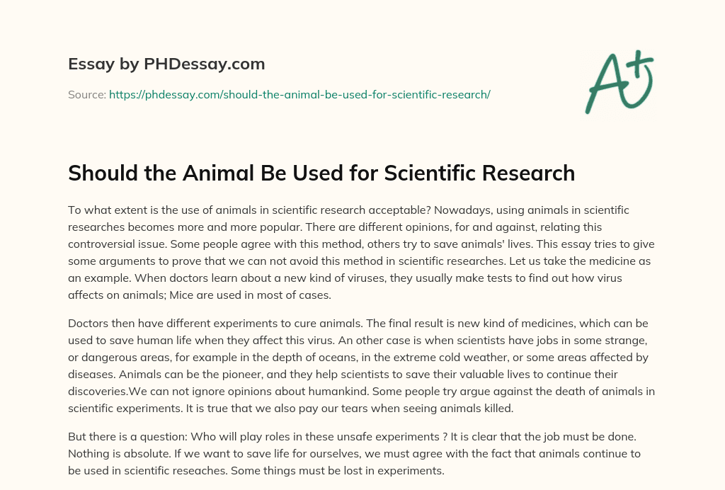 essay on animals should not be used for medical research