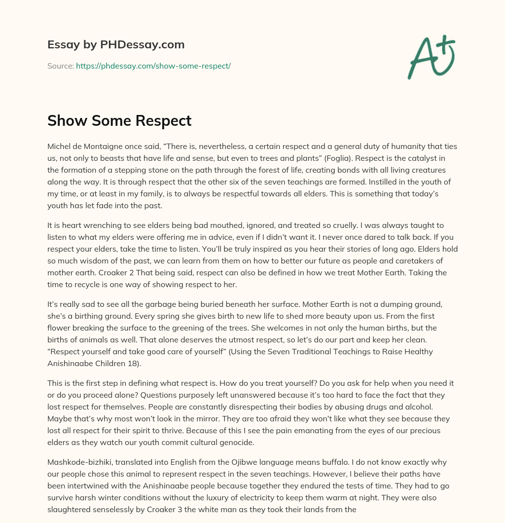 Show Some Respect essay