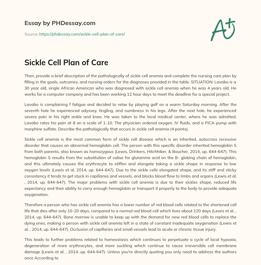 Sickle Cell Plan of Care essay