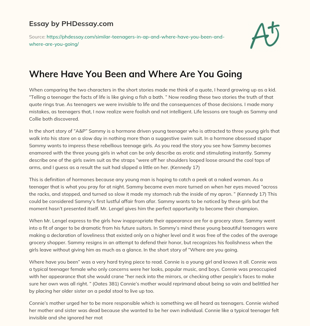 Where Have You Been and Where Are You Going essay