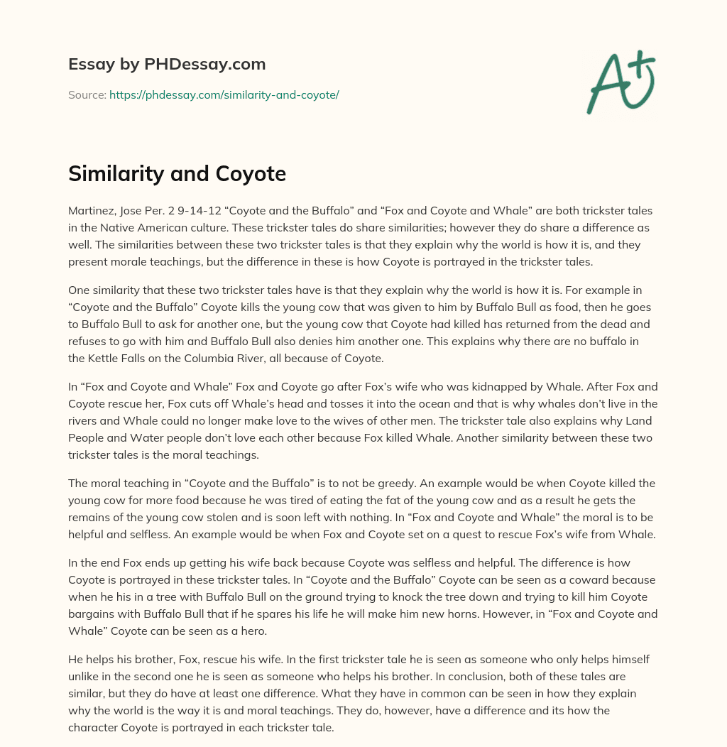 Similarity and Coyote essay