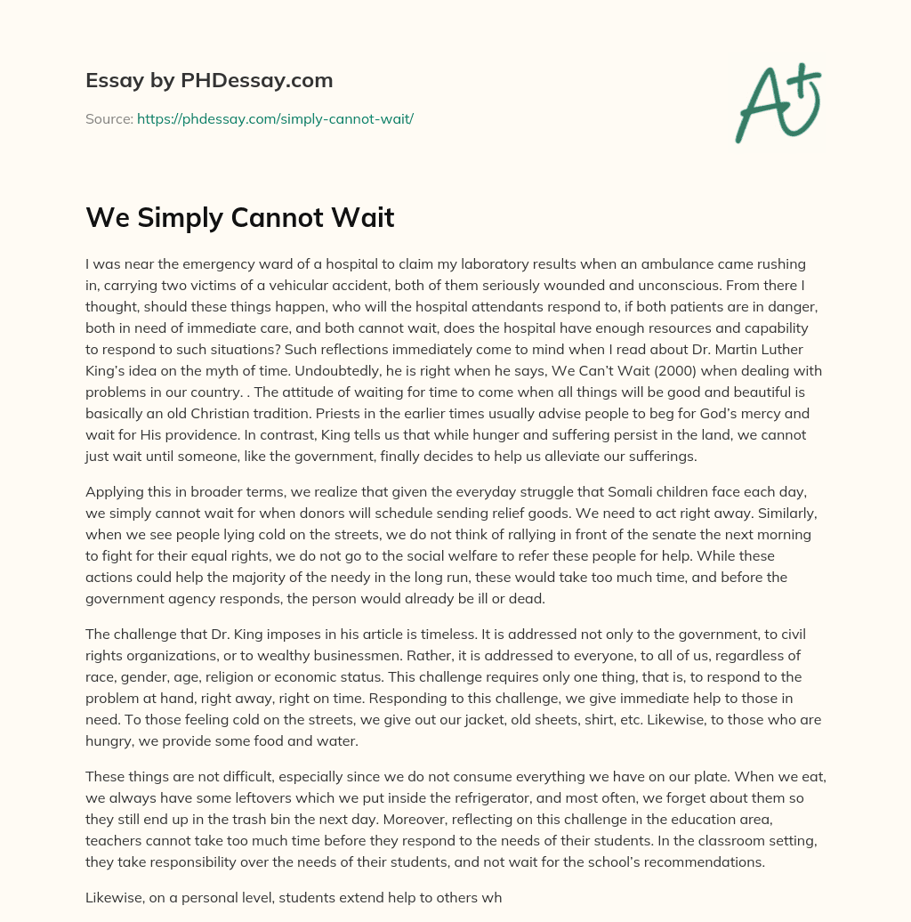 We Simply Cannot Wait essay