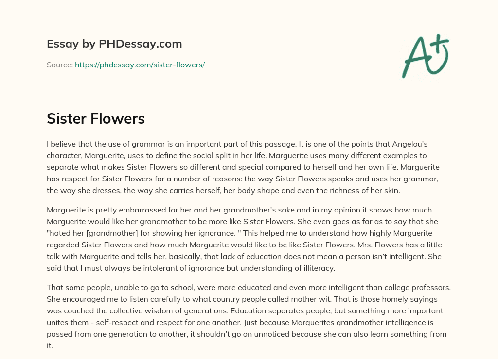Sister Flowers essay