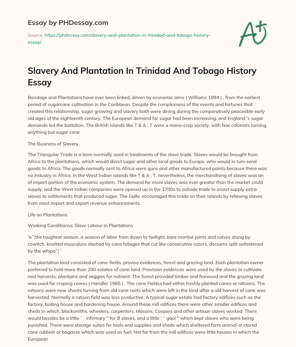 Slavery And Plantation In Trinidad And Tobago History Essay essay