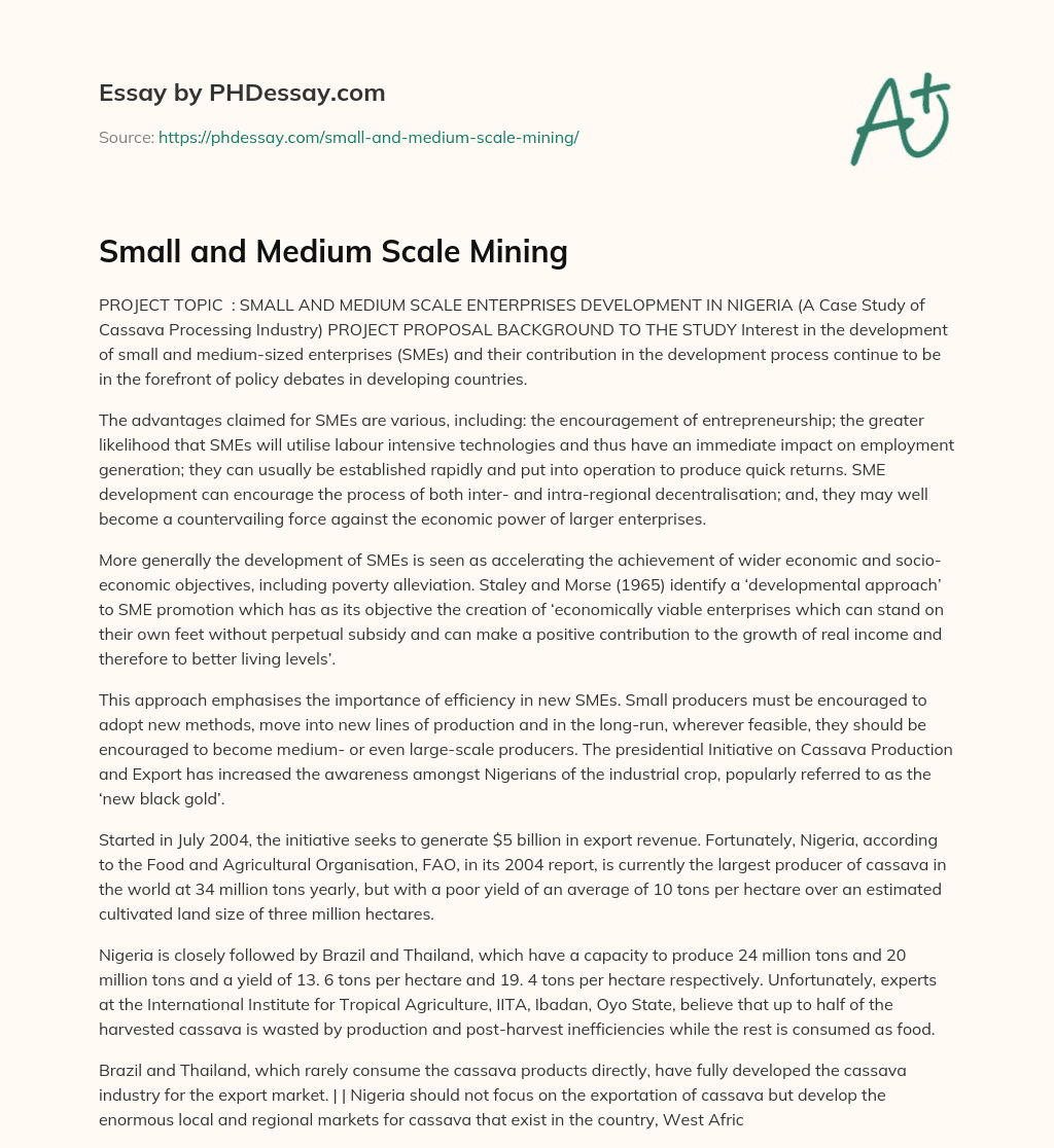 Small and Medium Scale Mining essay