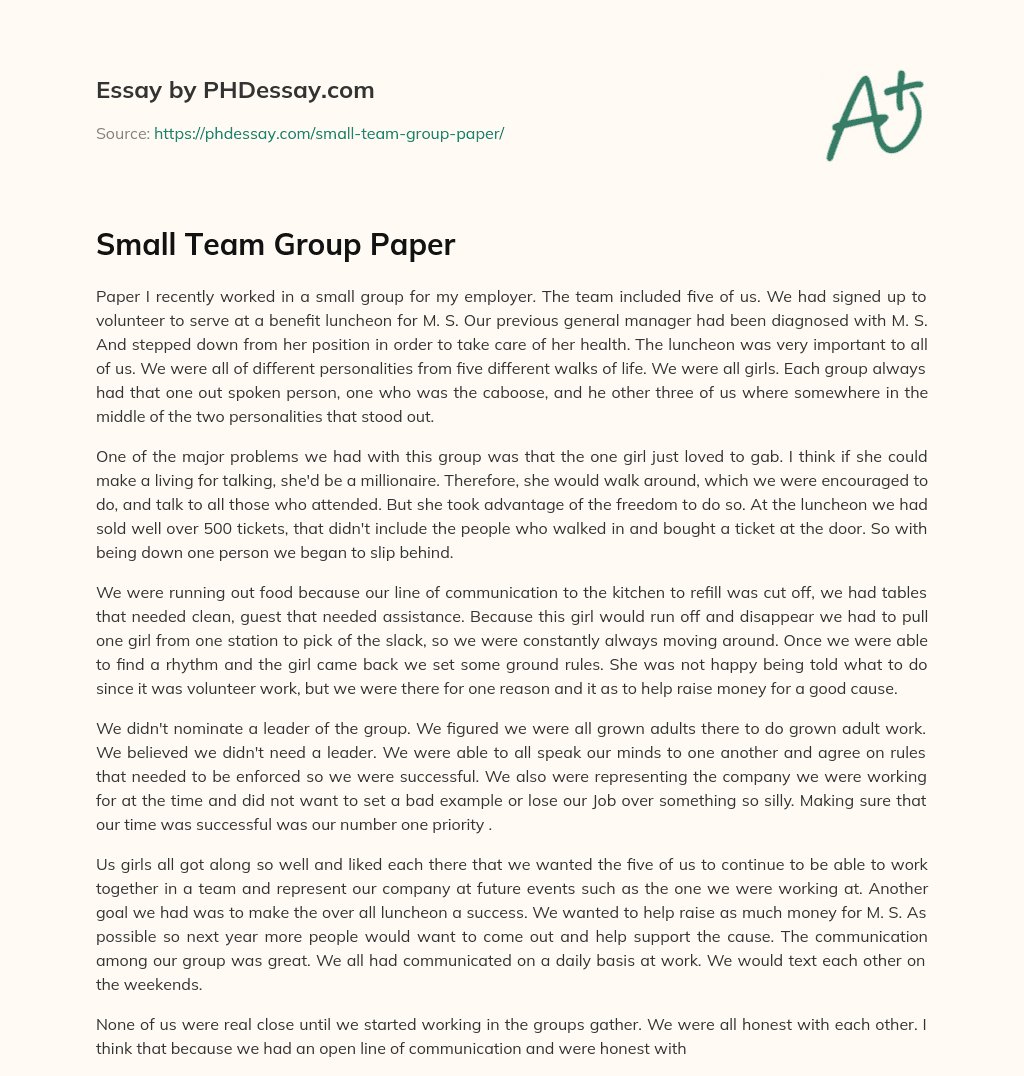 Small Team Group Paper essay