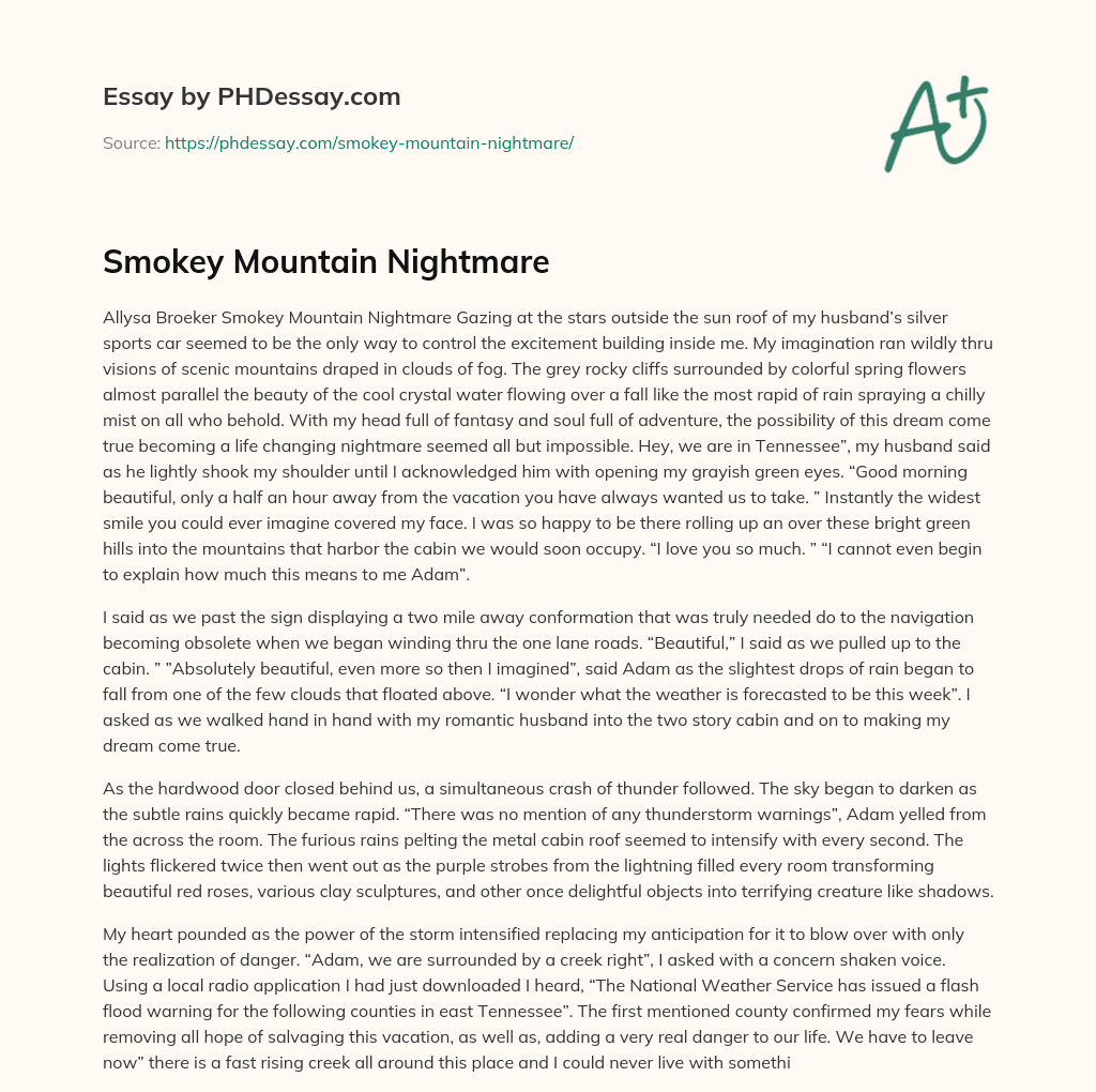 Smokey Mountain Nightmare essay