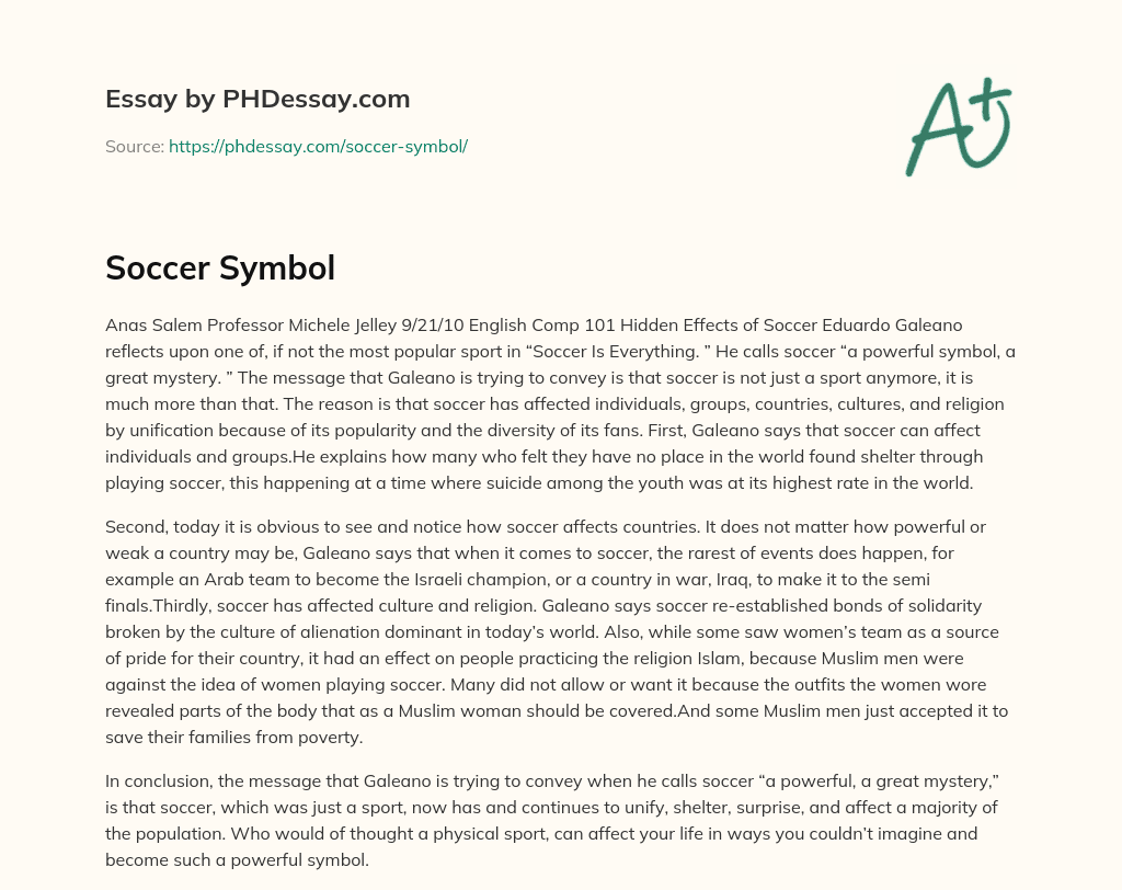Soccer Symbol essay