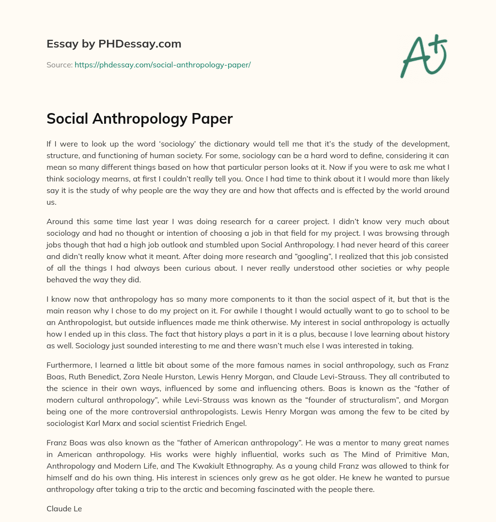 Social Anthropology Paper essay