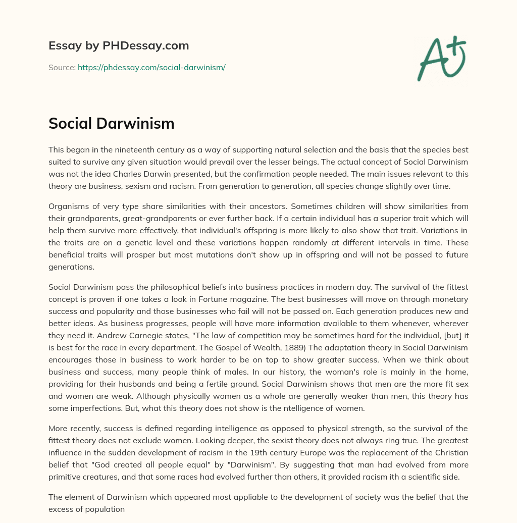 Social Darwinism essay