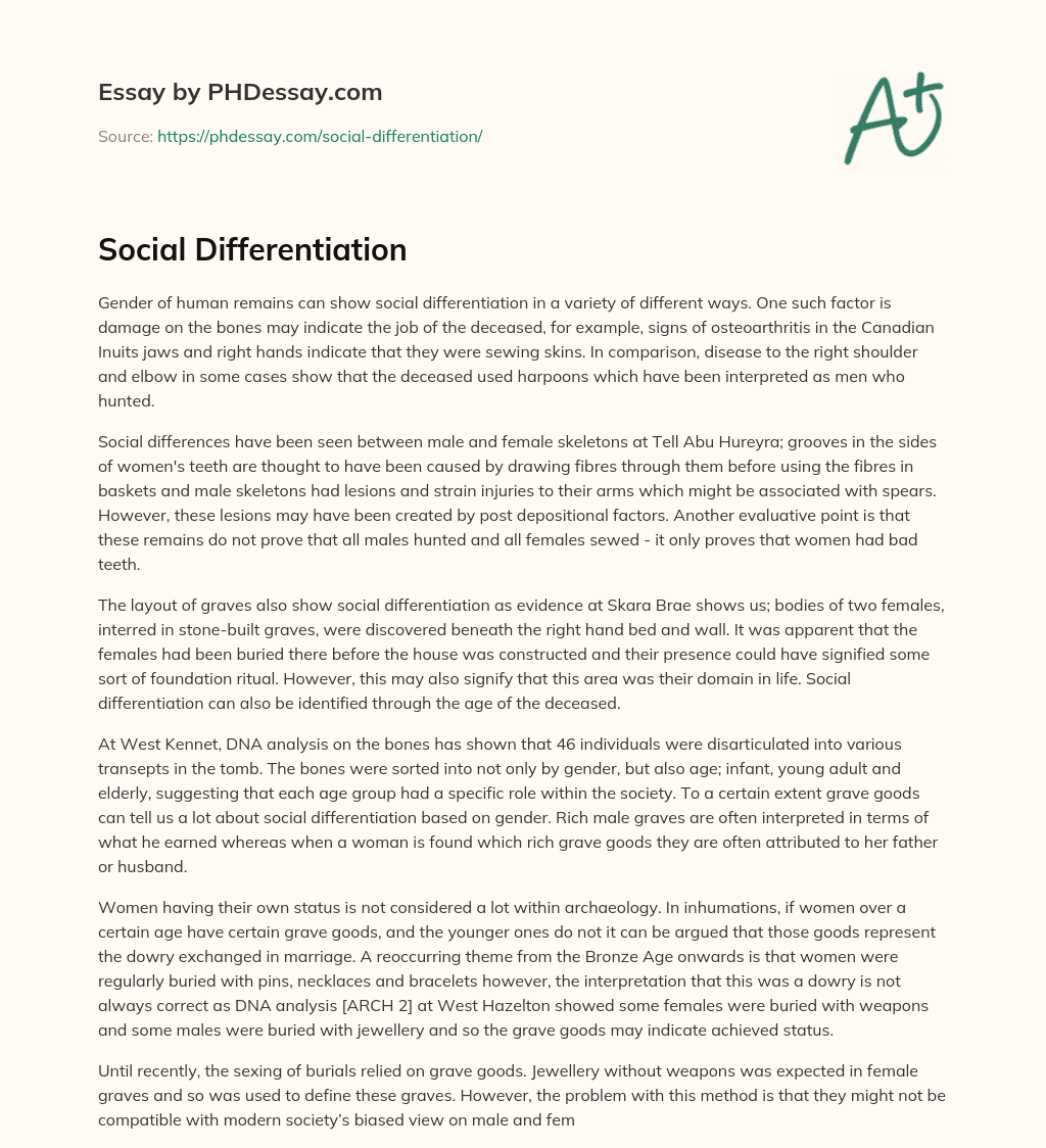 social-differentiation-phdessay