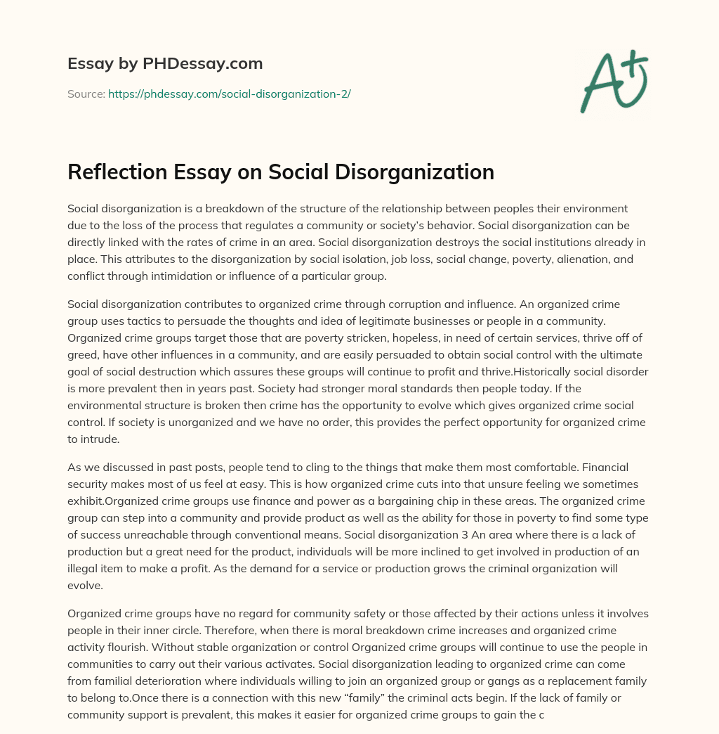 Reflection Essay on Social Disorganization essay