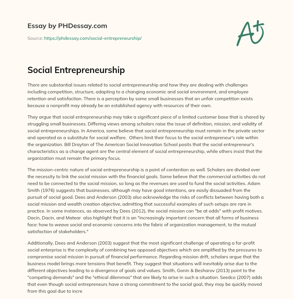 Social Entrepreneurship essay