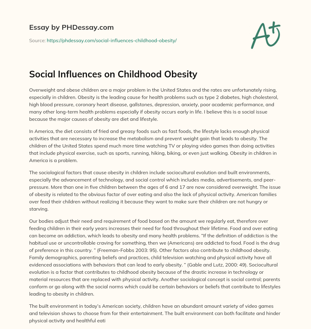 Social Influences on Childhood Obesity essay