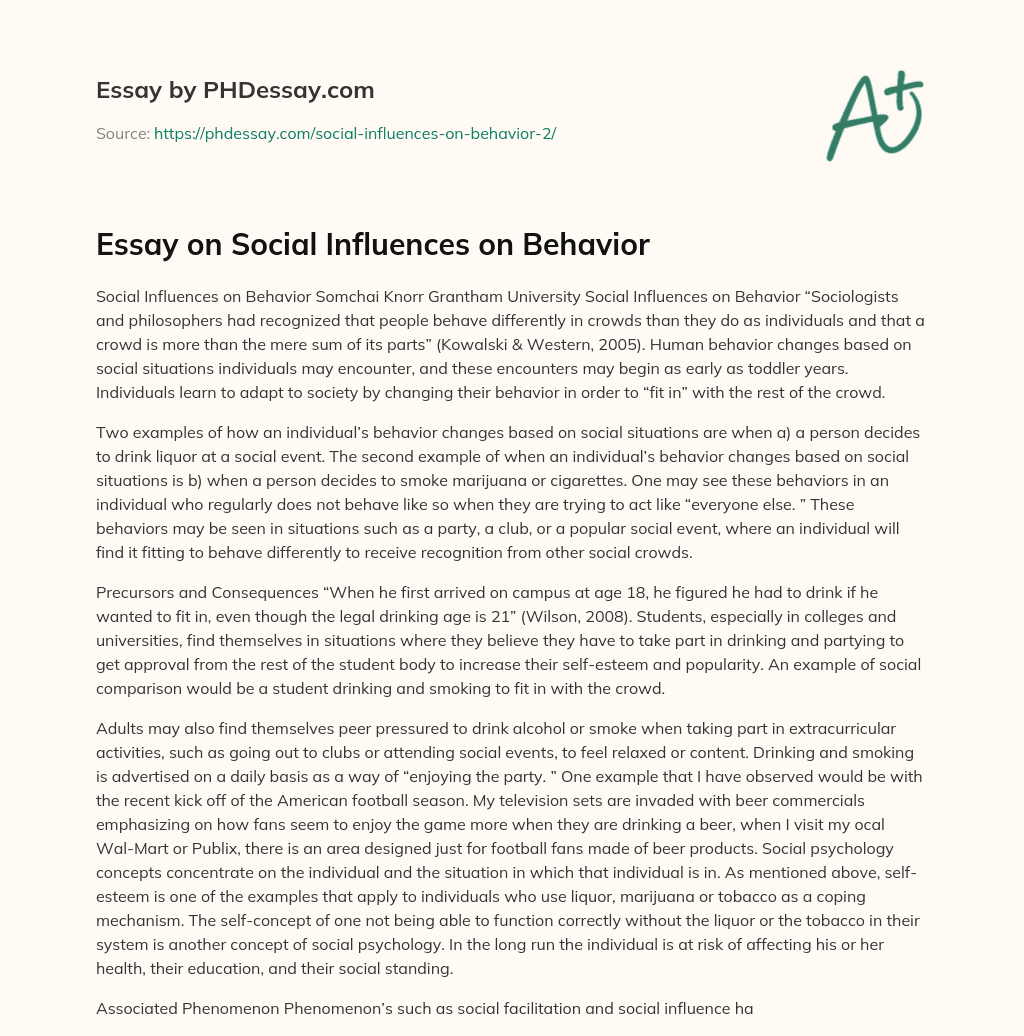 Essay on Social Influences on Behavior essay