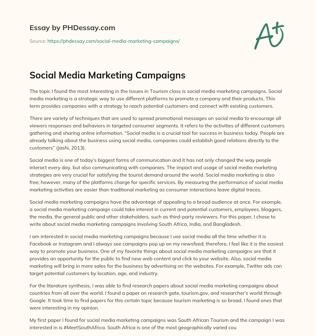 Social Media Marketing Campaigns essay