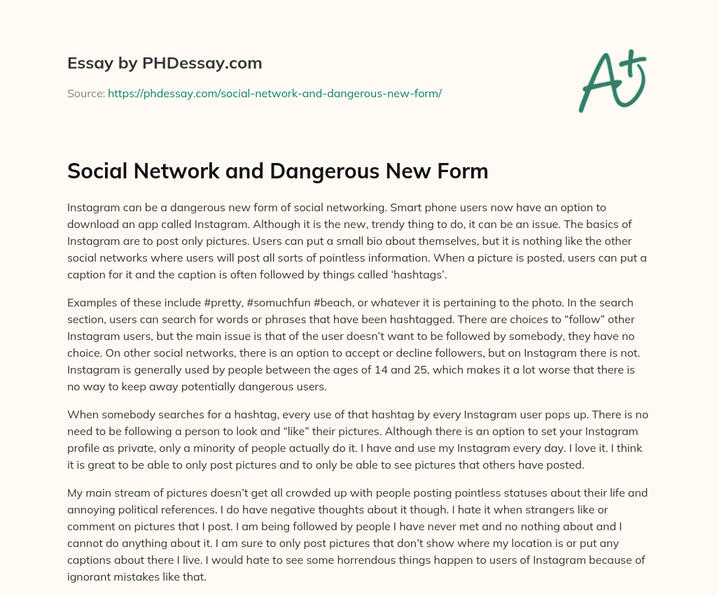 Social Network and Dangerous New Form essay
