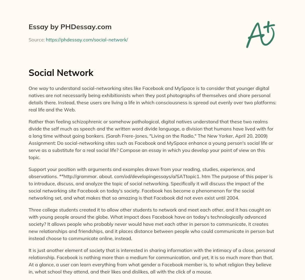 Social Network essay