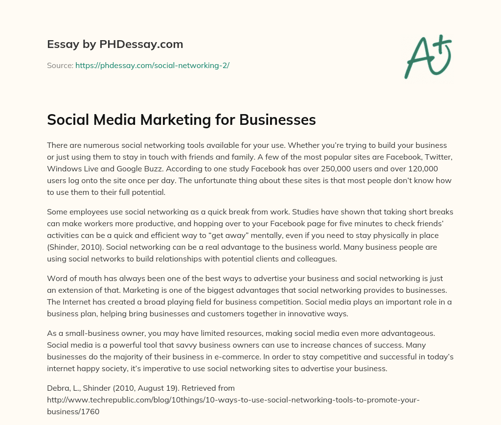 Social Media Marketing for Businesses essay