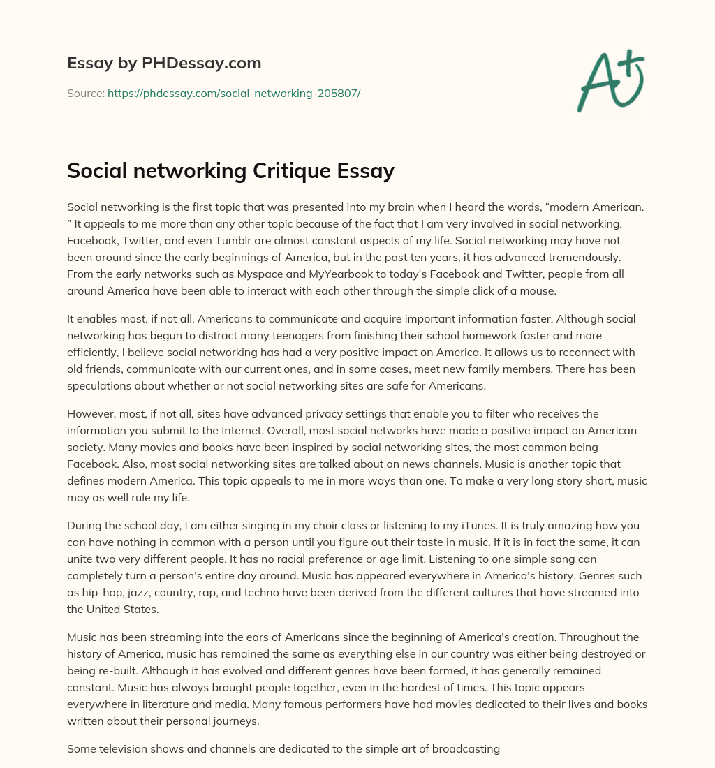 Social networking Critique Essay essay