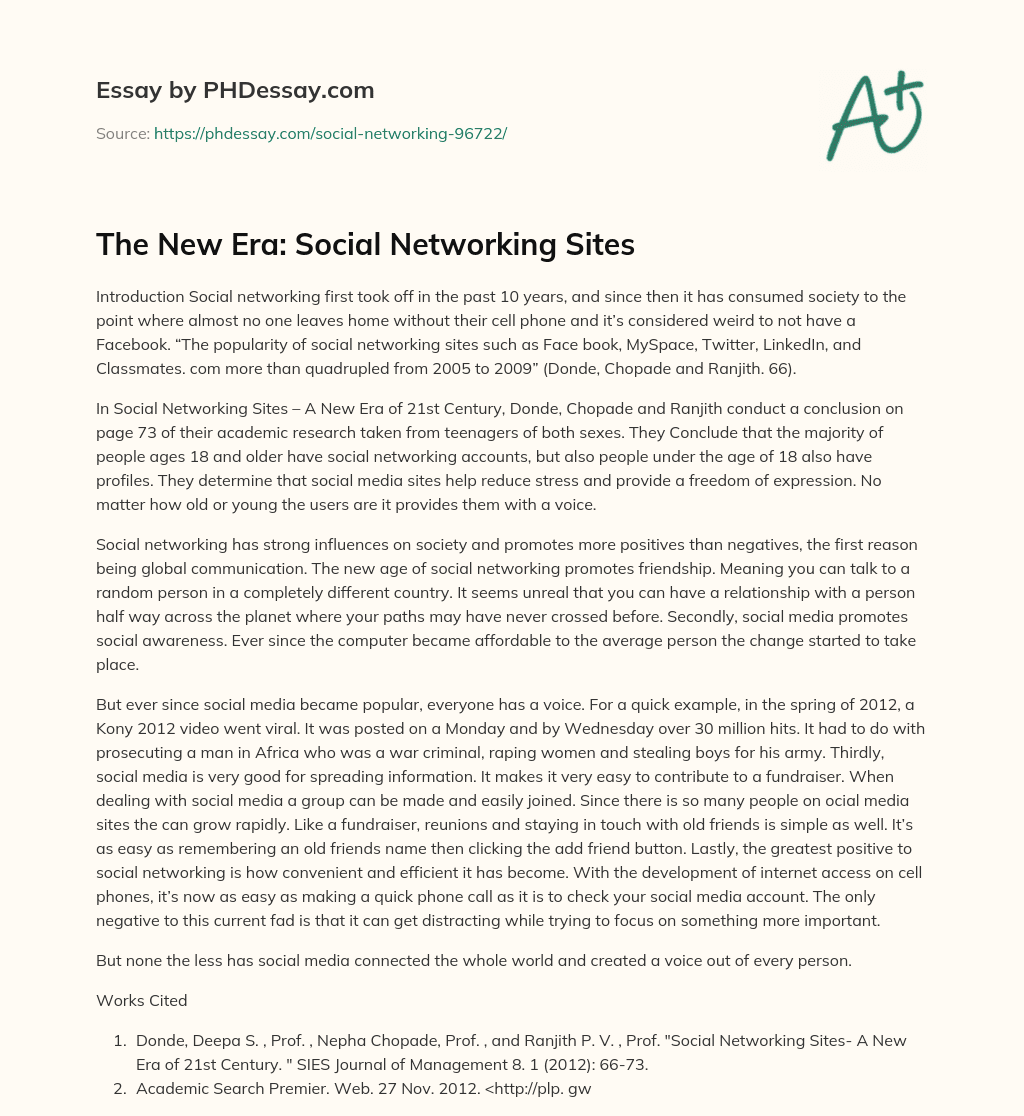 The New Era: Social Networking Sites essay