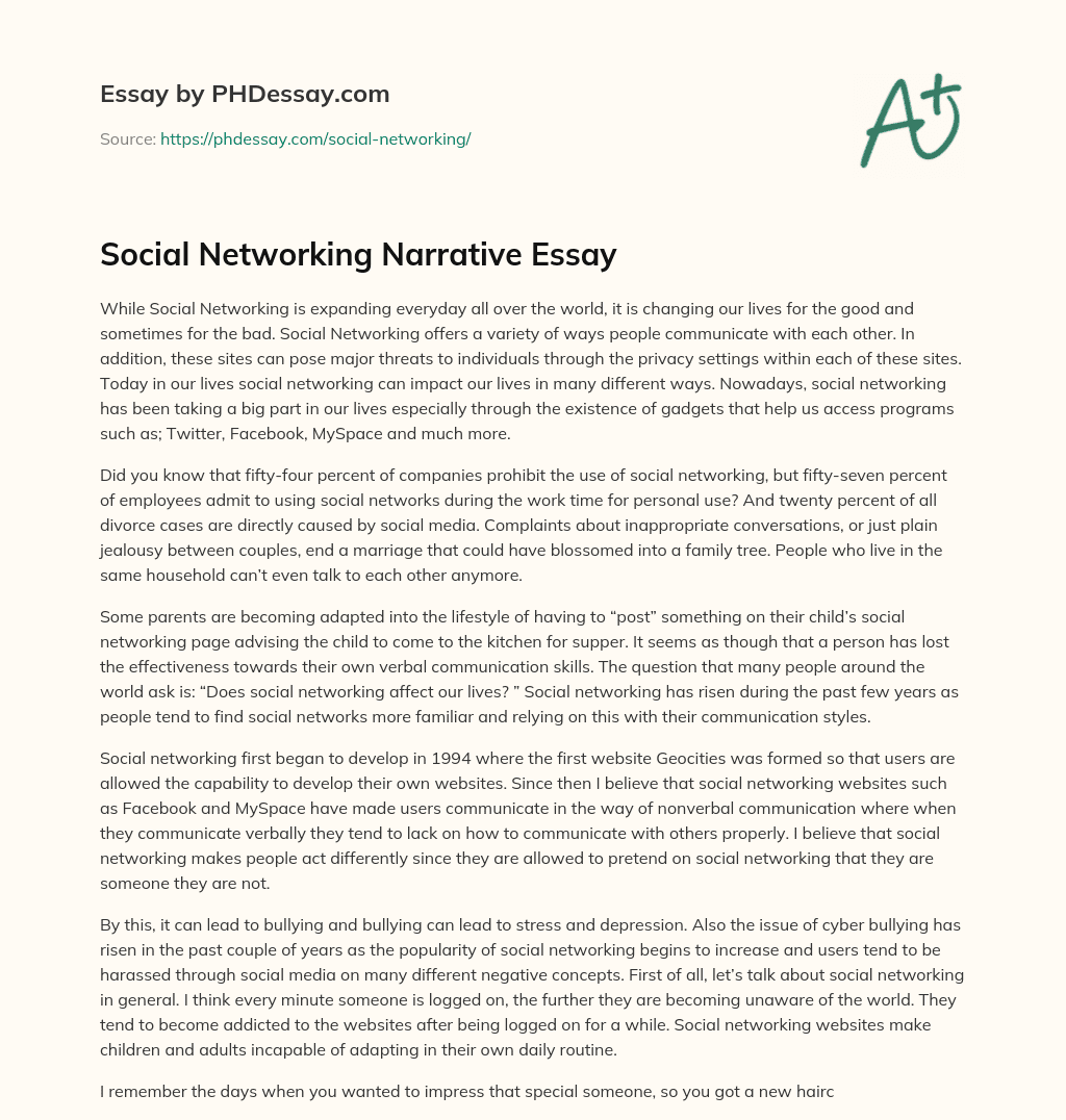 Social Networking Narrative Essay essay