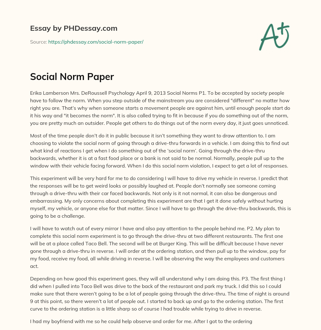 Social Norm Paper essay