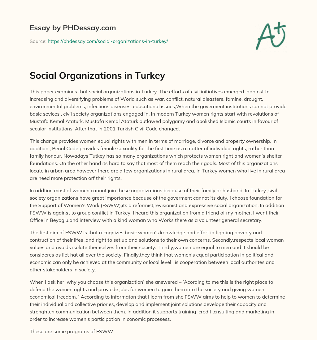 Social Organizations in Turkey essay
