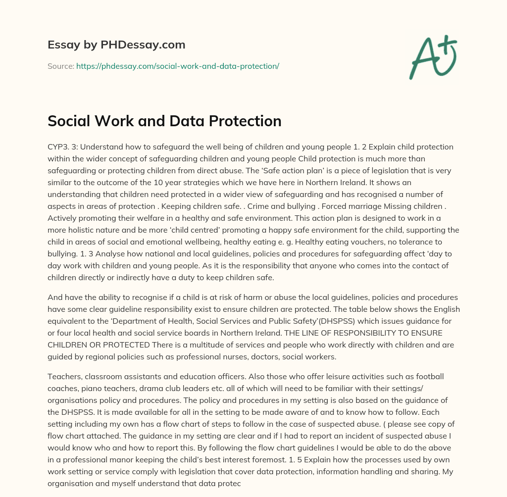 Social Work and Data Protection essay