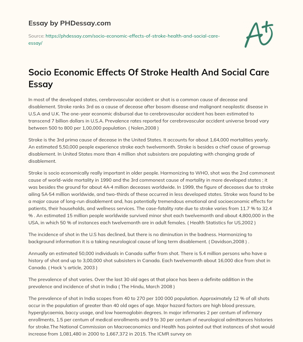 Socio Economic Effects Of Stroke Health And Social Care Essay essay