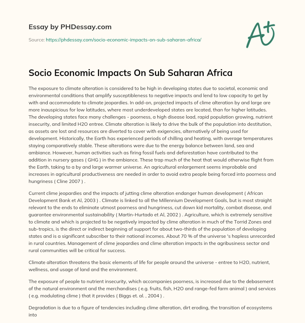 Socio Economic Impacts On Sub Saharan Africa essay