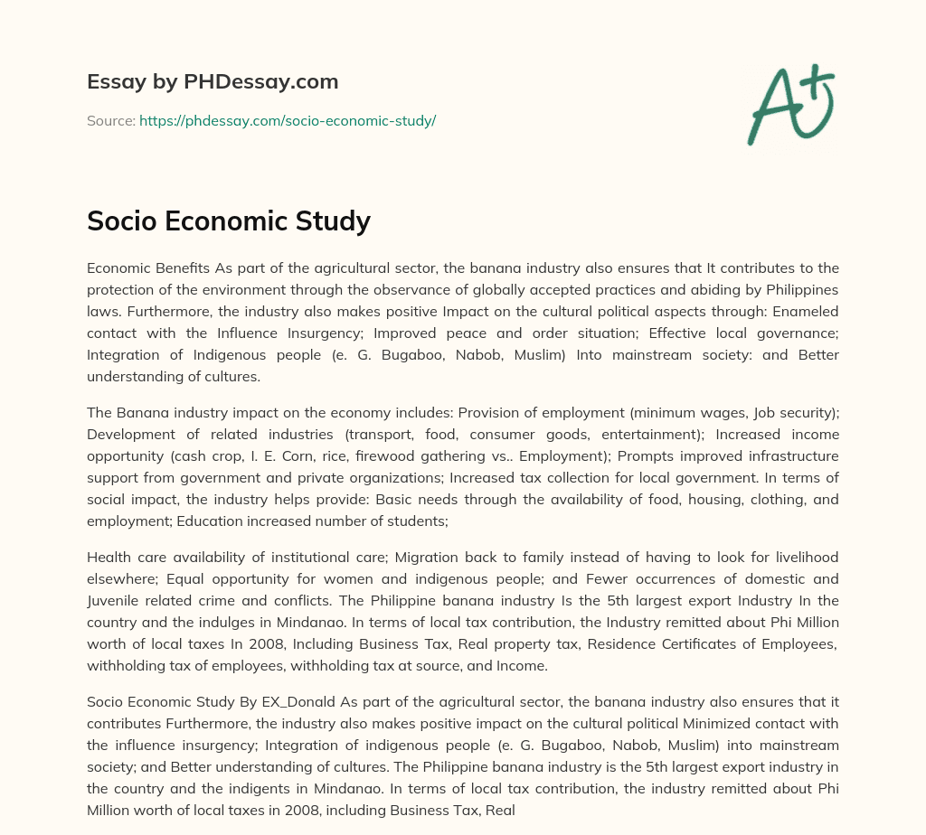 business studies essay on socio economic issues grade 10