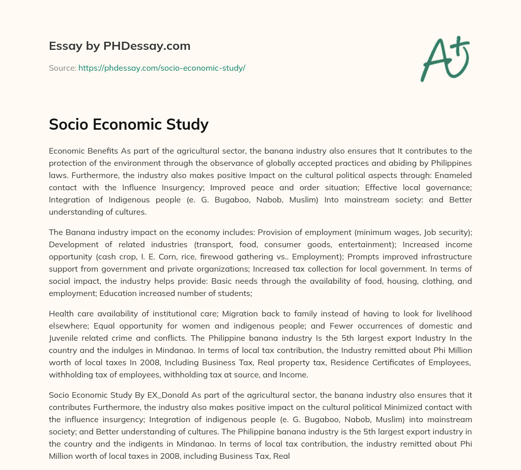 socio economic essay examples