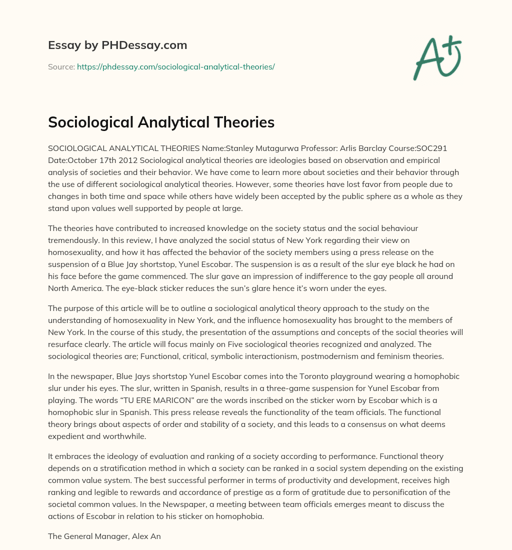 Sociological Analytical Theories essay