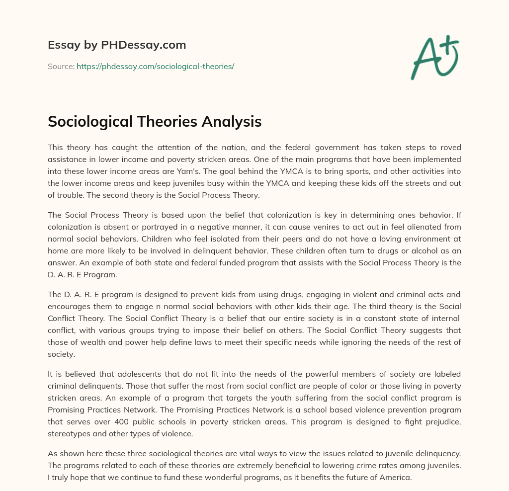 Sociological Theories Analysis essay