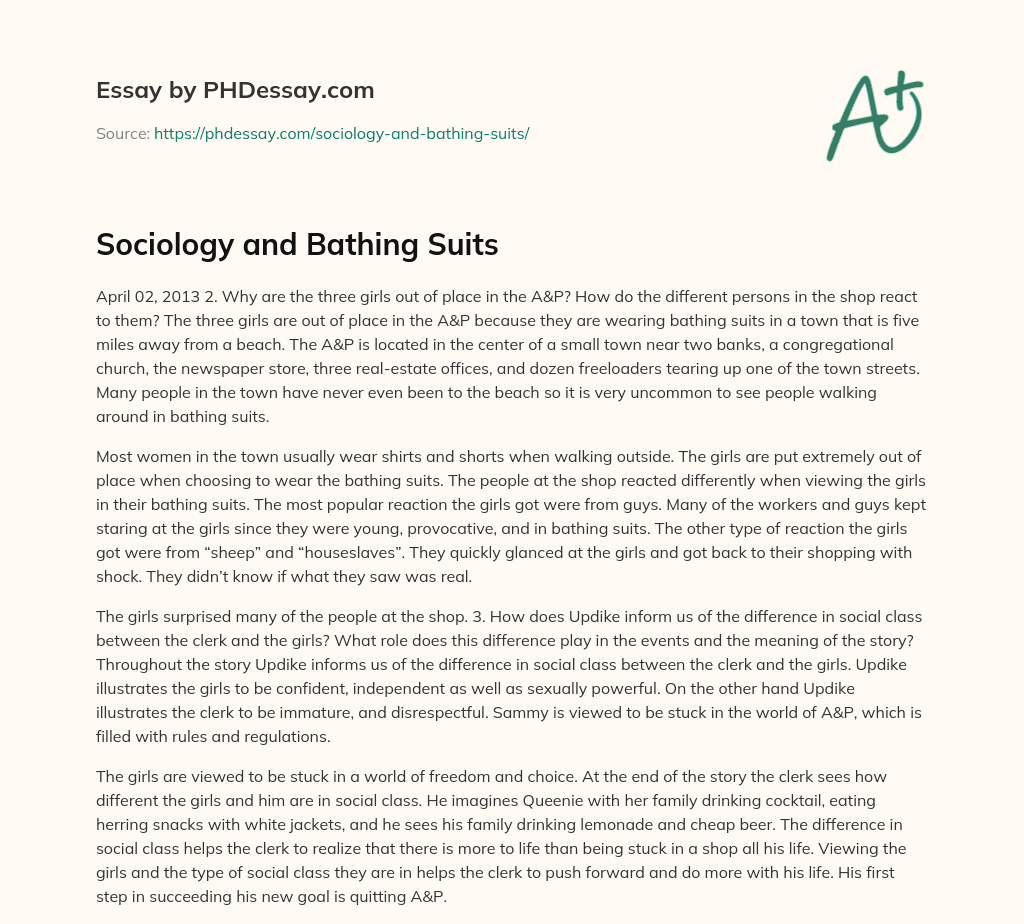 Sociology and Bathing Suits essay