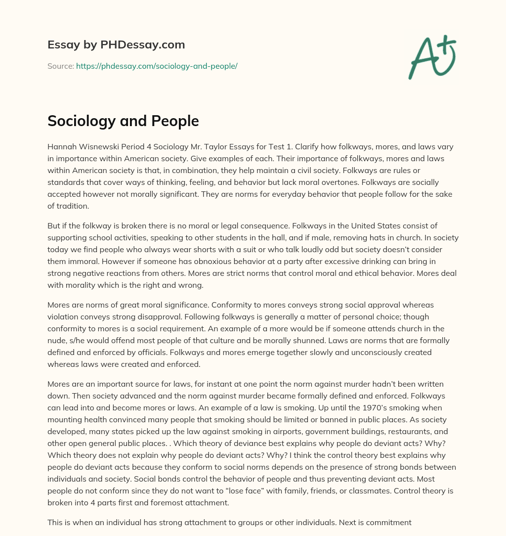 Sociology and People essay