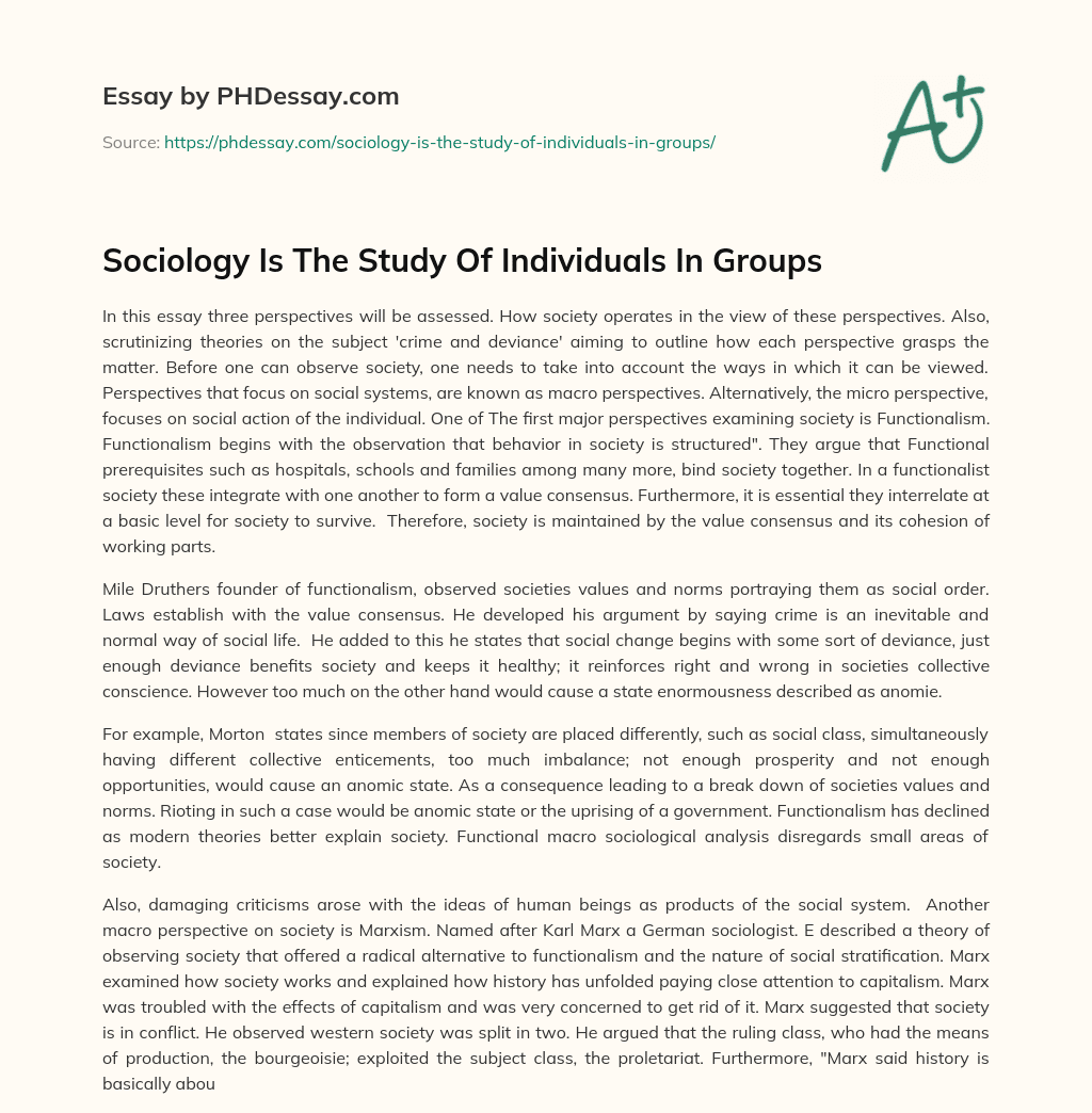 Sociology Is The Study Of Individuals In Groups essay
