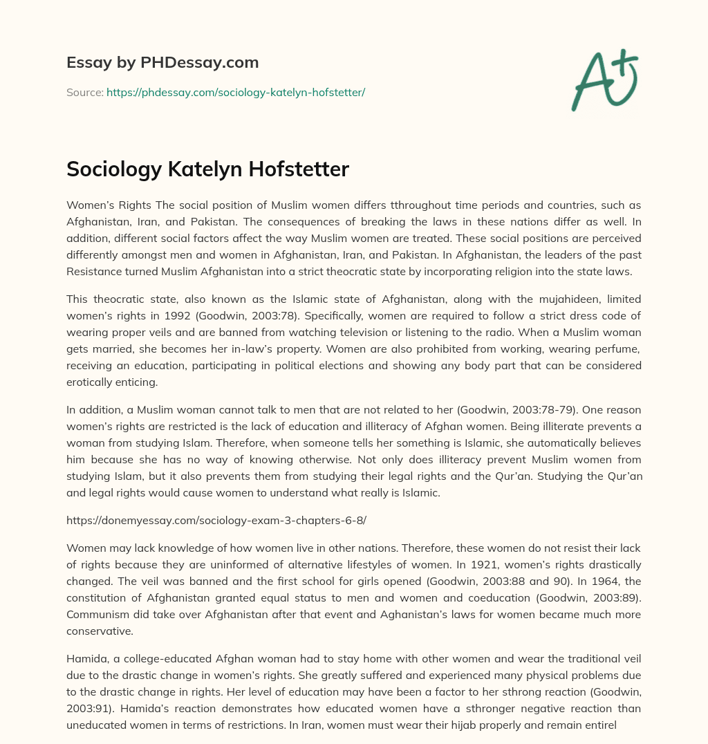 Sociology Katelyn Hofstetter essay