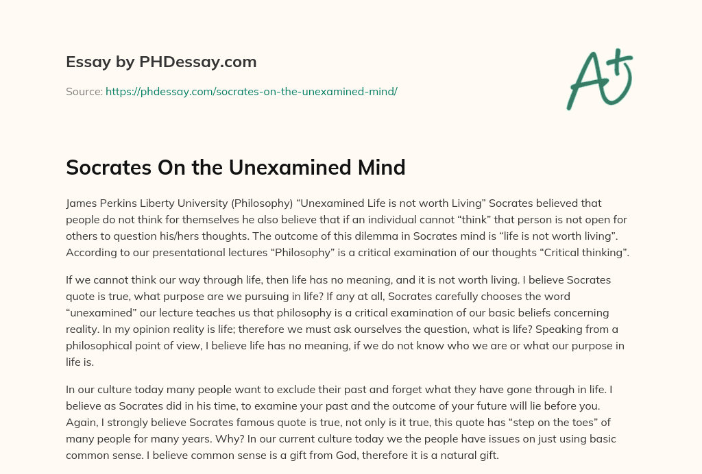The Importance of Critical Thinking for a Meaningful Life essay