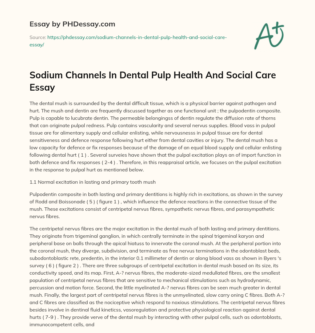 Sodium Channels In Dental Pulp Health And Social Care Essay