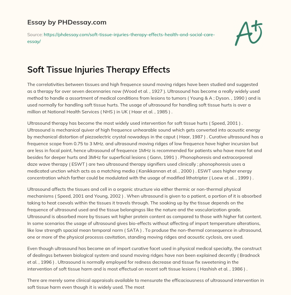 Soft Tissue Injuries Therapy Effects essay