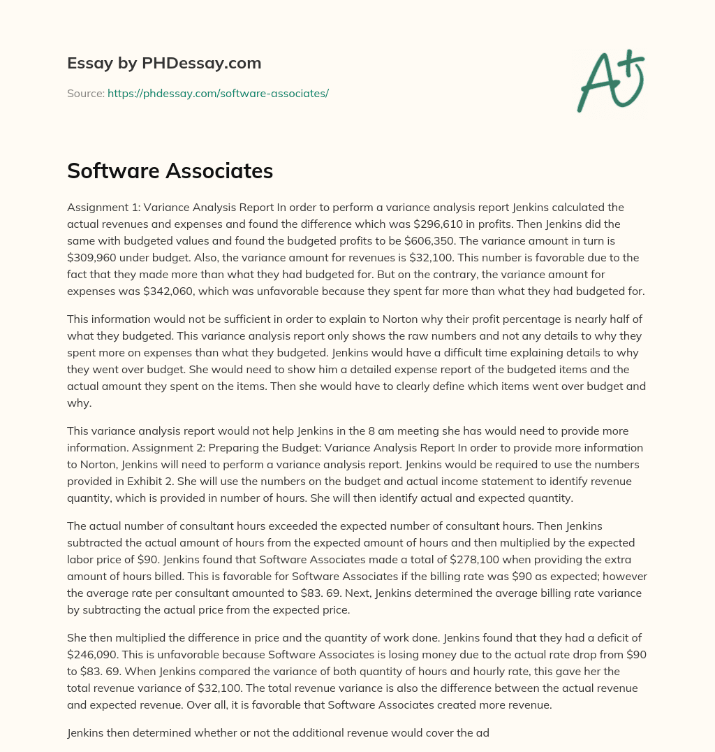 Software Associates essay
