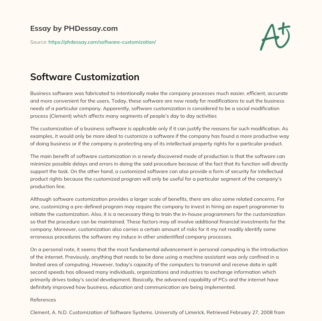Software Customization essay
