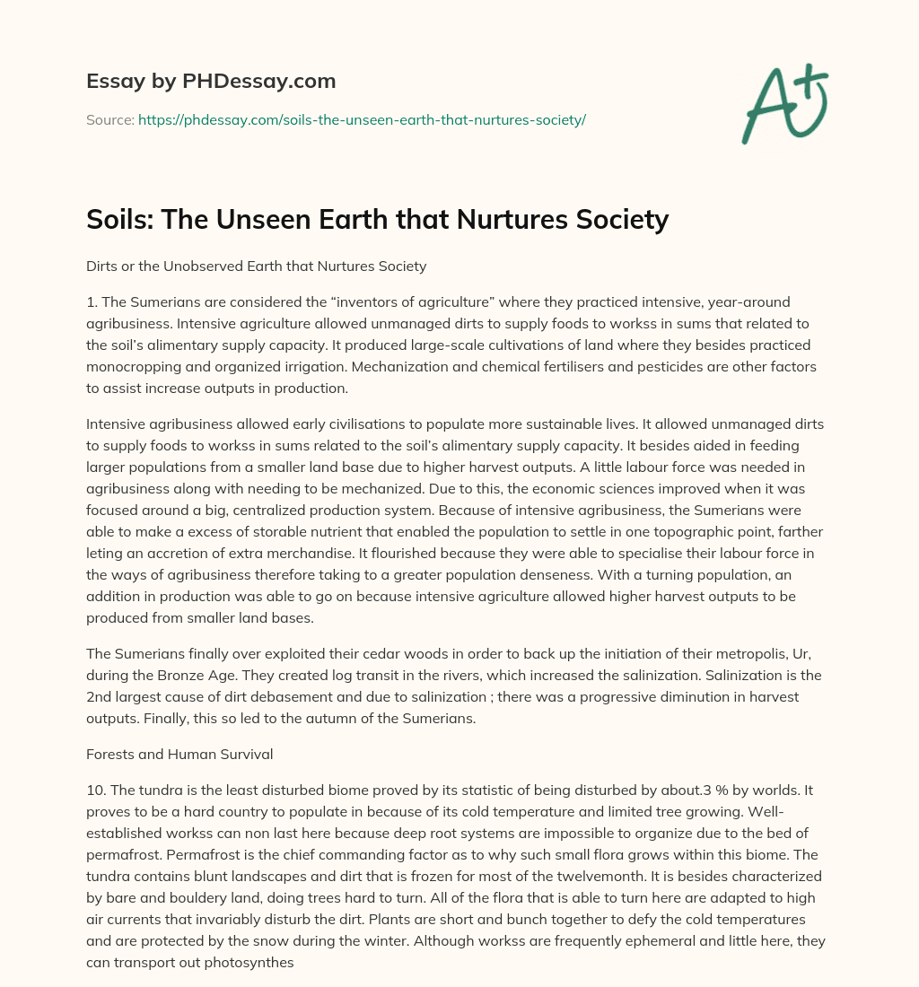 Soils: The Unseen Earth that Nurtures Society essay