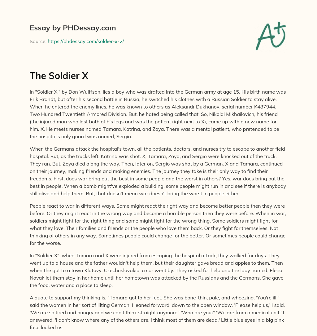 The Soldier X essay