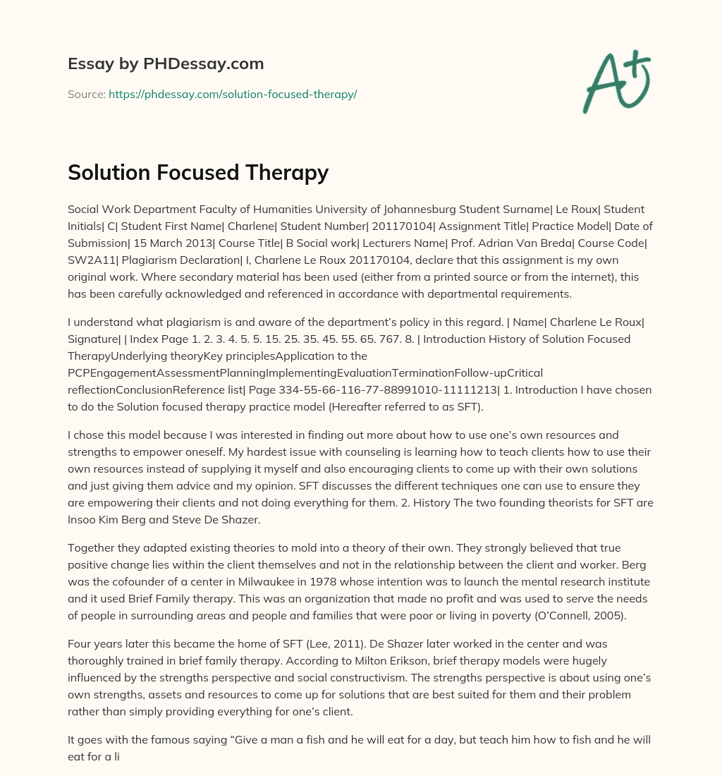 Solution Focused Therapy essay