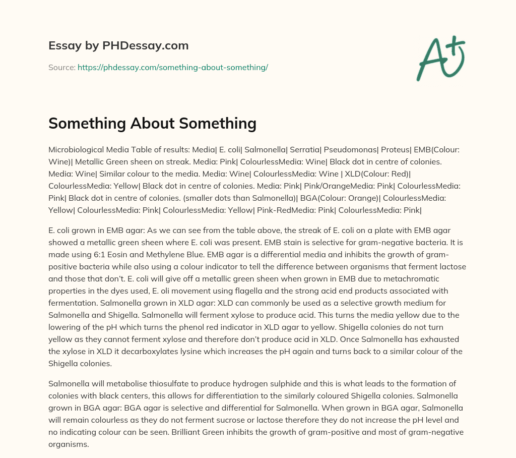 Something About Something essay