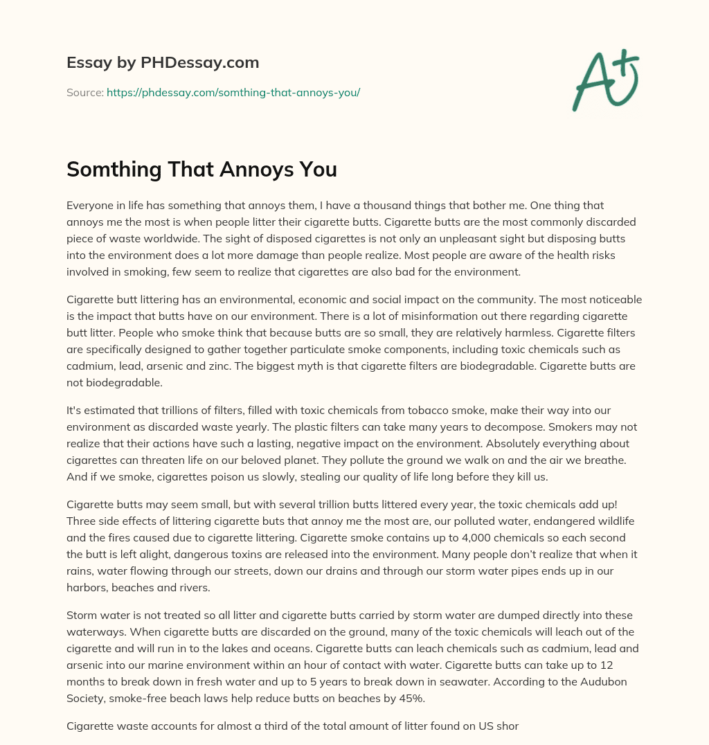 Somthing That Annoys You essay