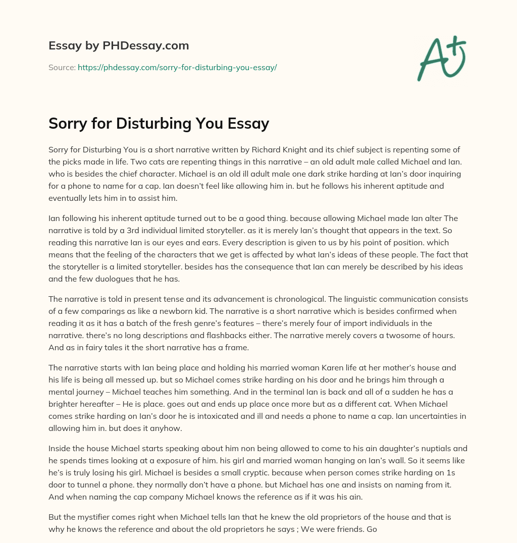 essay about being sorry